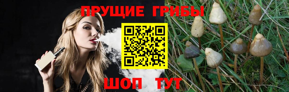 Галлюциногенные грибы прущие грибы  Псилоцибиновые грибы GOLDEN TEACHER  Видное  Вход с VPN 